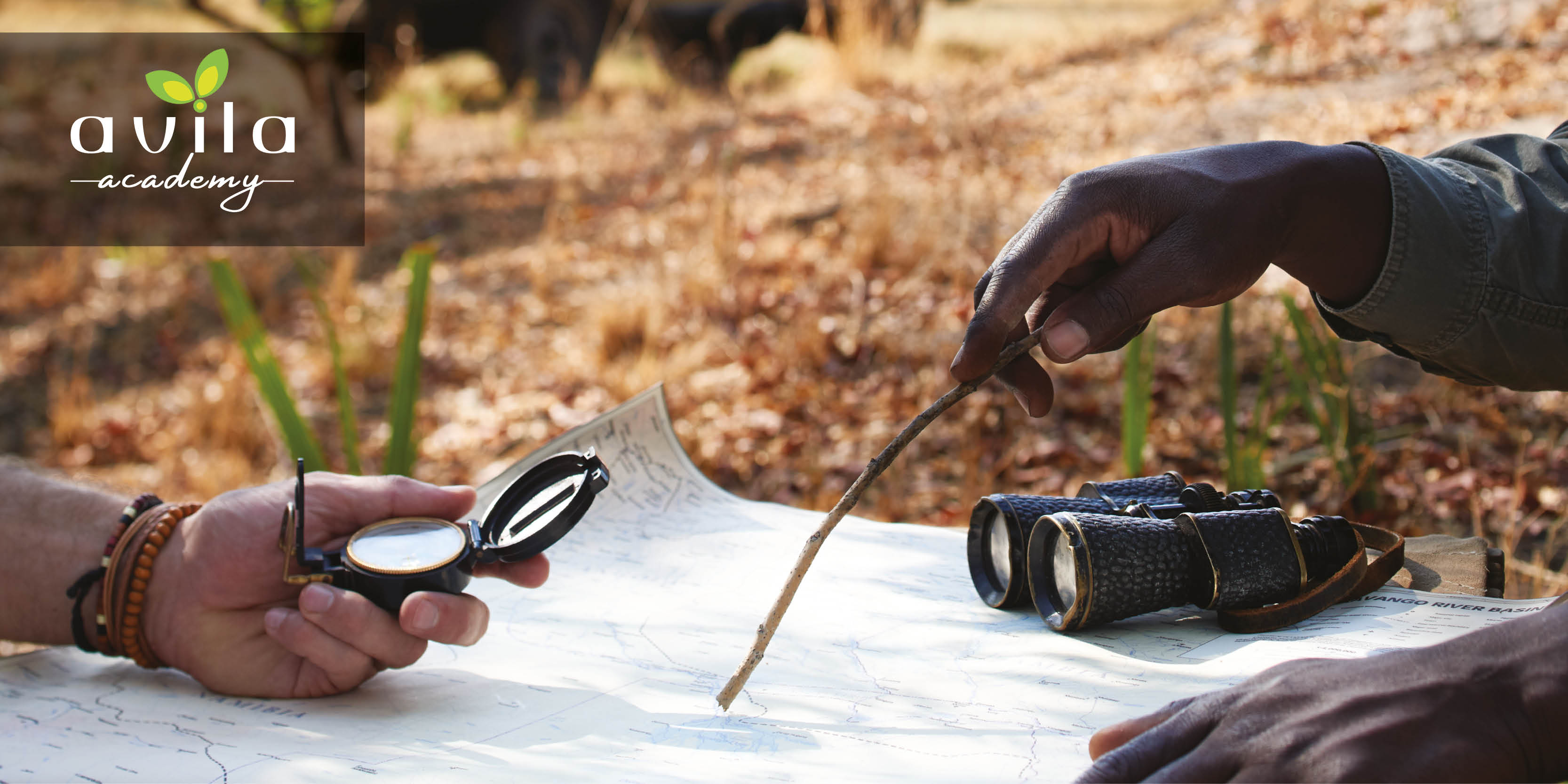 Avila Reizen lanceert - ‘Avila Academy’