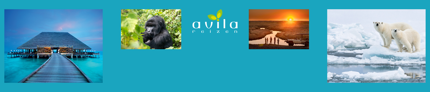 Avila Reizen
