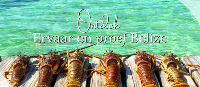 Zomer in Belize!
