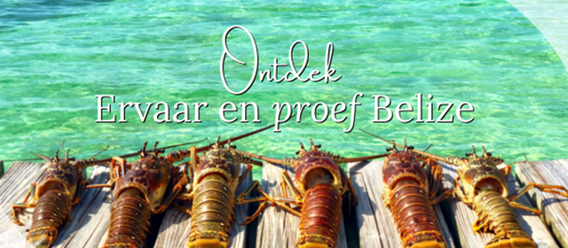 Zomer in Belize!