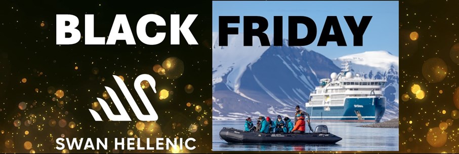 BLACK FRIDAY Swan