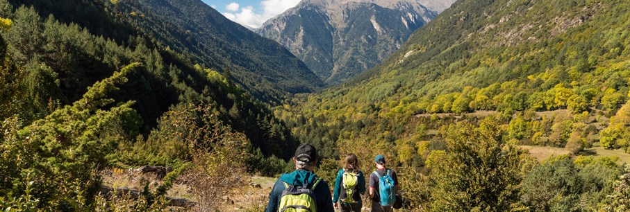 7 wandelfestivals