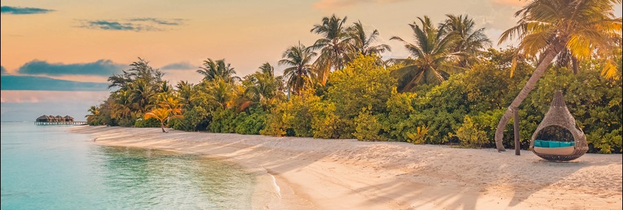 De beste promotie van het jaar