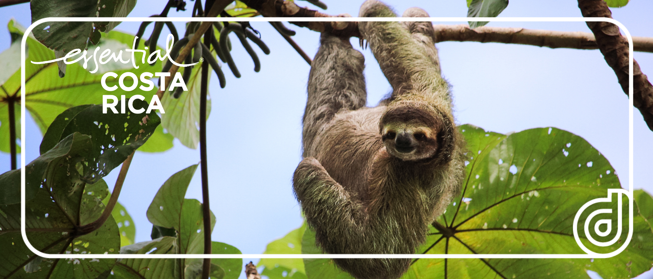 Webinar SmartPackager