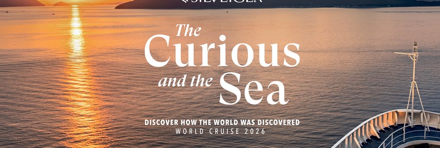 The Curious and The Sea