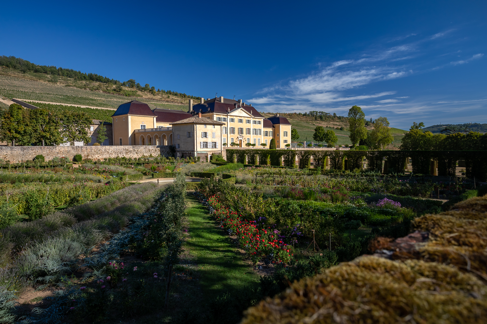 Beaujolais, une destination en plein (re)nouveau