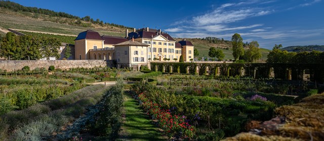 Beaujolais, een bestemming in volle (her)opleving