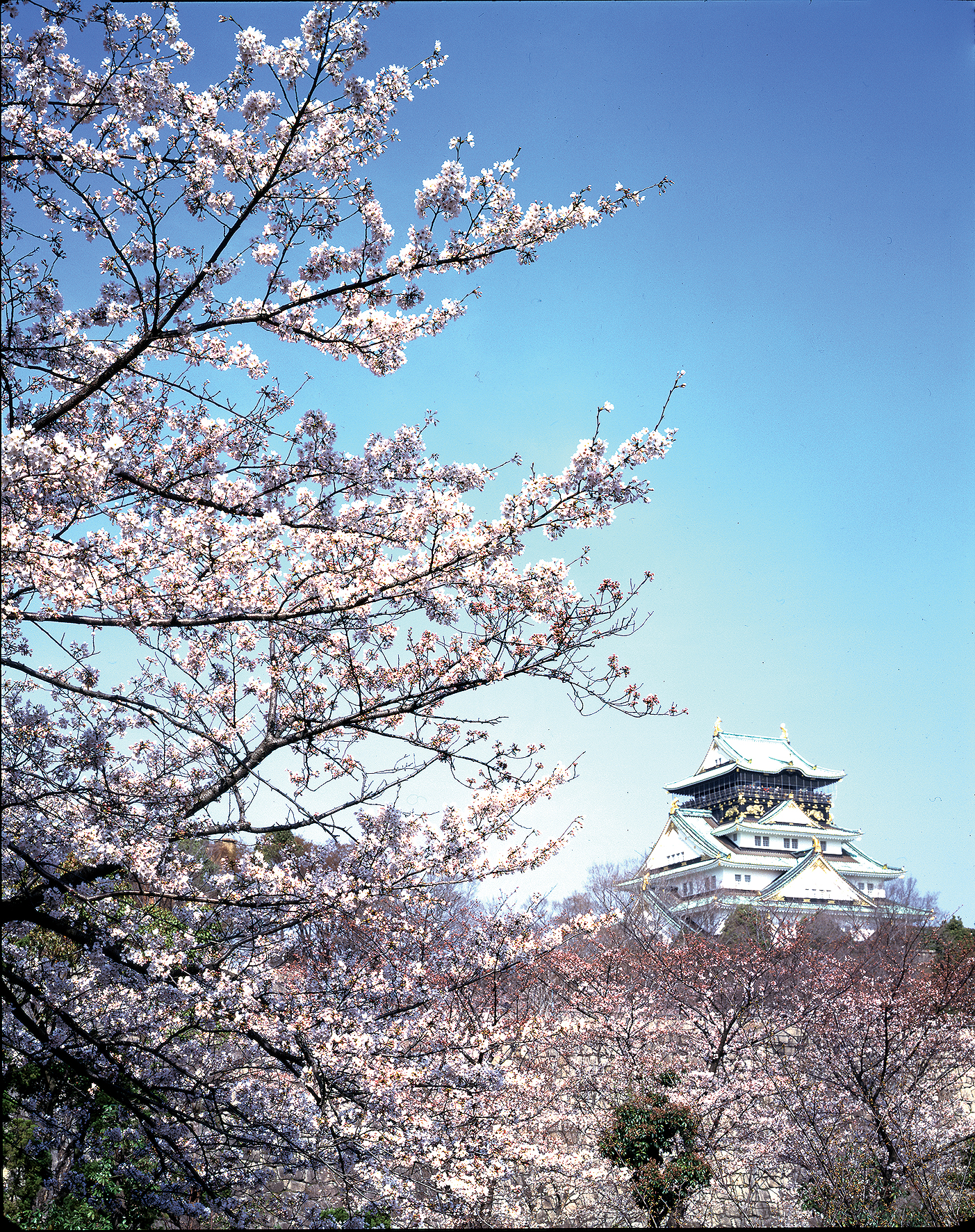 7Plus-rondreizen « Kleuren van Japan »