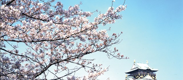 Circuits 7Plus « Couleurs du Japon »
