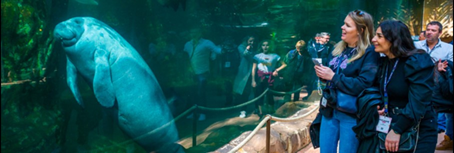 Destination Beauval pour votre prochain voyage