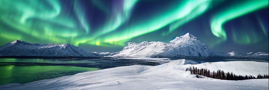 Webinar winterbelevenis Scandinavië|SmartPackager