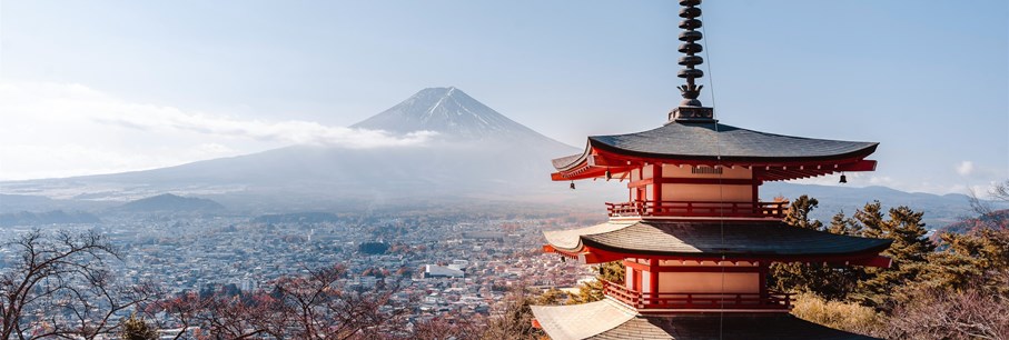Japan met NAAR Bespoke Travel