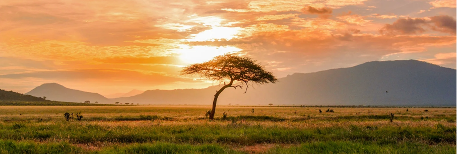 Brussels Airlines connects Nairobi to Brussels