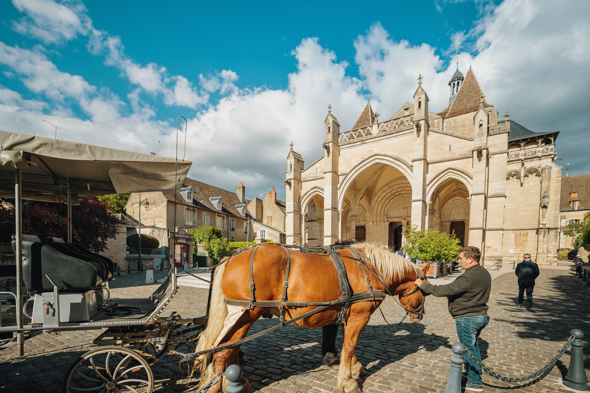 Beaune, une destination patrimoine
