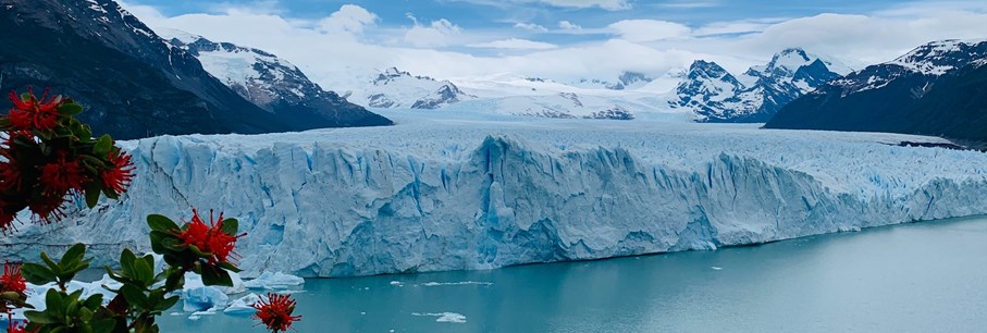 Ons brede Argentinië-aanbod