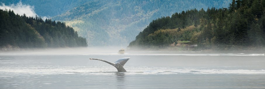 Aventures sportives ultime dans l'Est du Canada