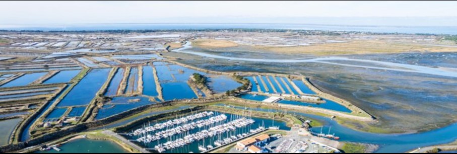 Partez à la découverte de l’île de Ré