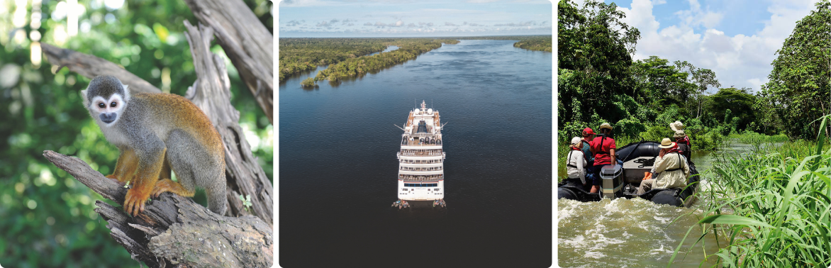 2026 -  een jaar vol ontdekkingen