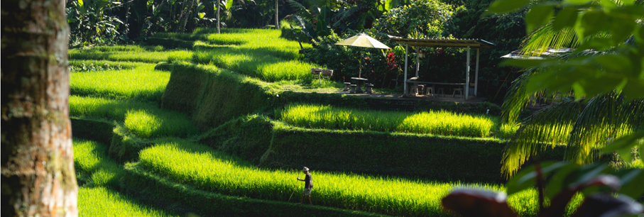 Ga op reis naar een wereld vol groene wonderen
