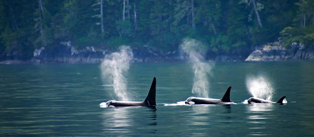 Ontdek de kracht van à-la-carte reizen