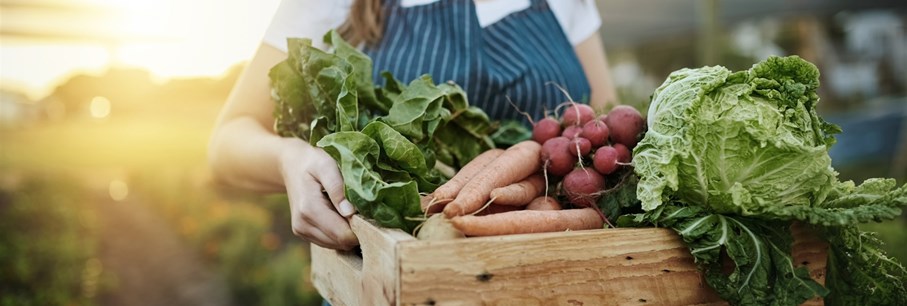 Touch of Organic Farm