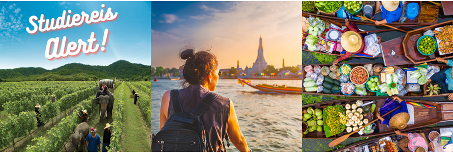 Met Travelworld op gratis Thailand studiereis