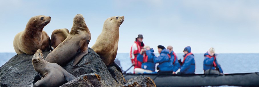 Top 5 vragen over Noordpool expeditie