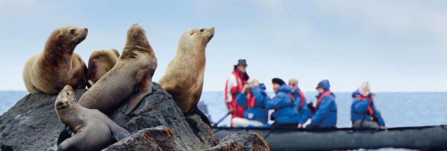 Top 5 vragen over Noordpool expeditie