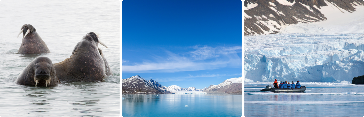 Expeditie Svalbard omronding via kvitoya