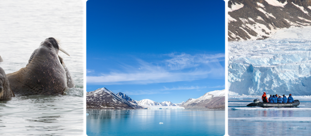 Expeditie Svalbard omronding via kvitoya