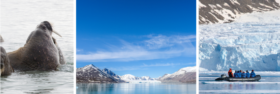 Expeditie Svalbard omronding via kvitoya