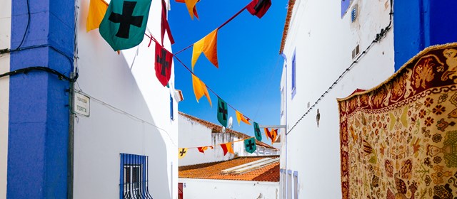 Alentejo for dummies