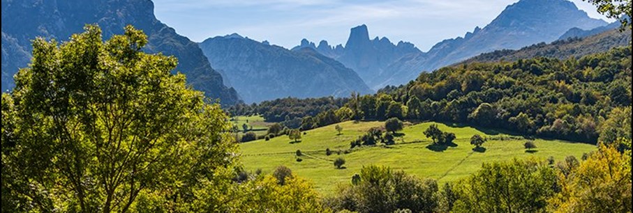 Studiereis Asturië