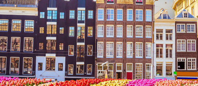 Tulpencruise met Riverside
