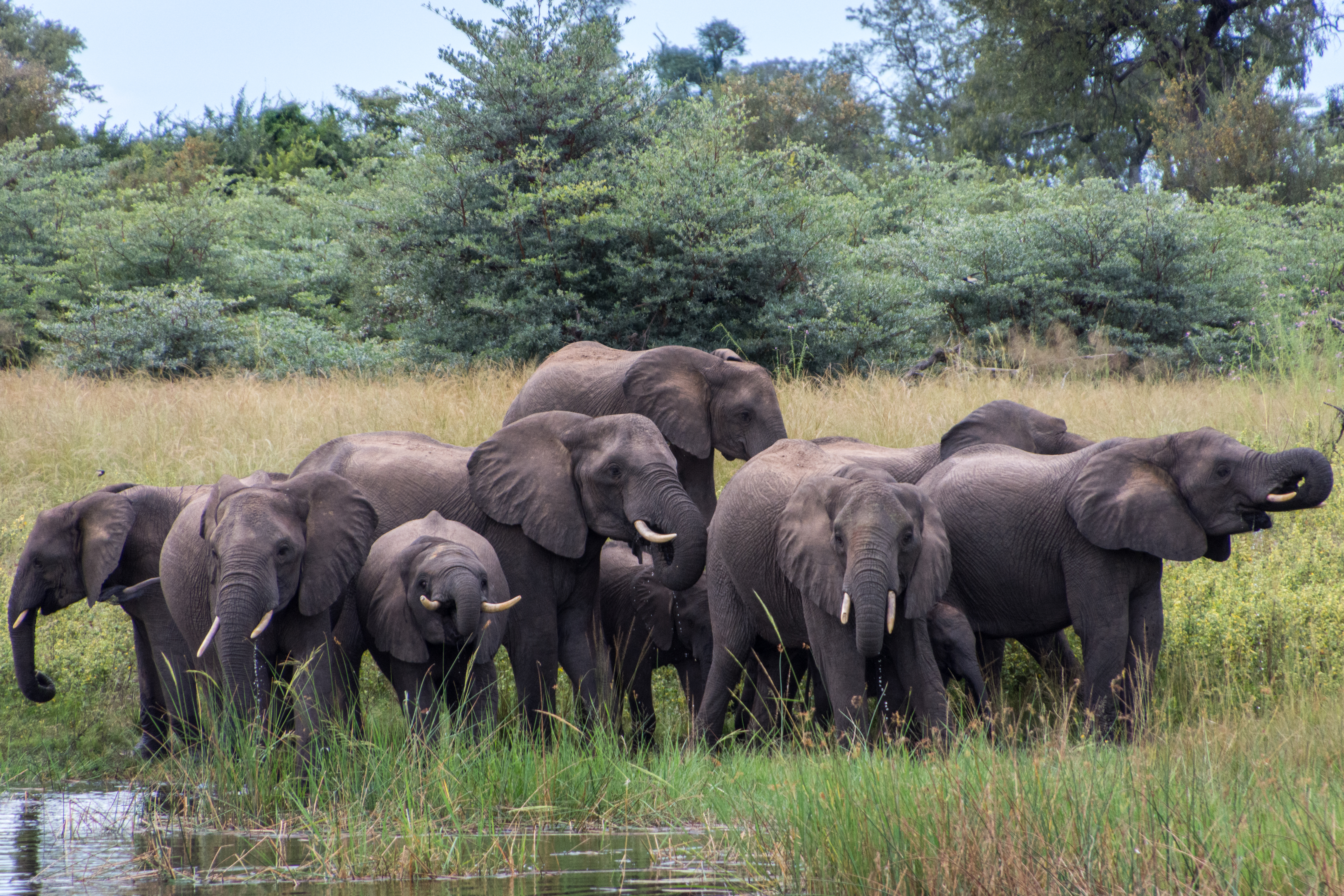 UITNODIGING Unieke Famtrip Namibië