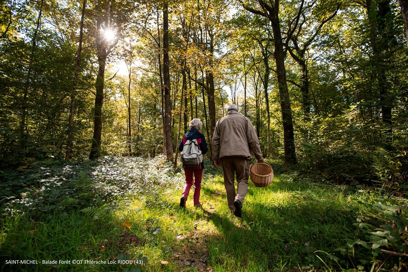 De herfst is nog mooier in de Thiérache!