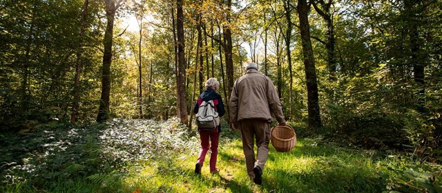L’automne, c’est encore mieux en Thiérache !