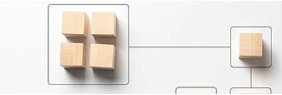 Module Proces van softwarespecialist 1TIS