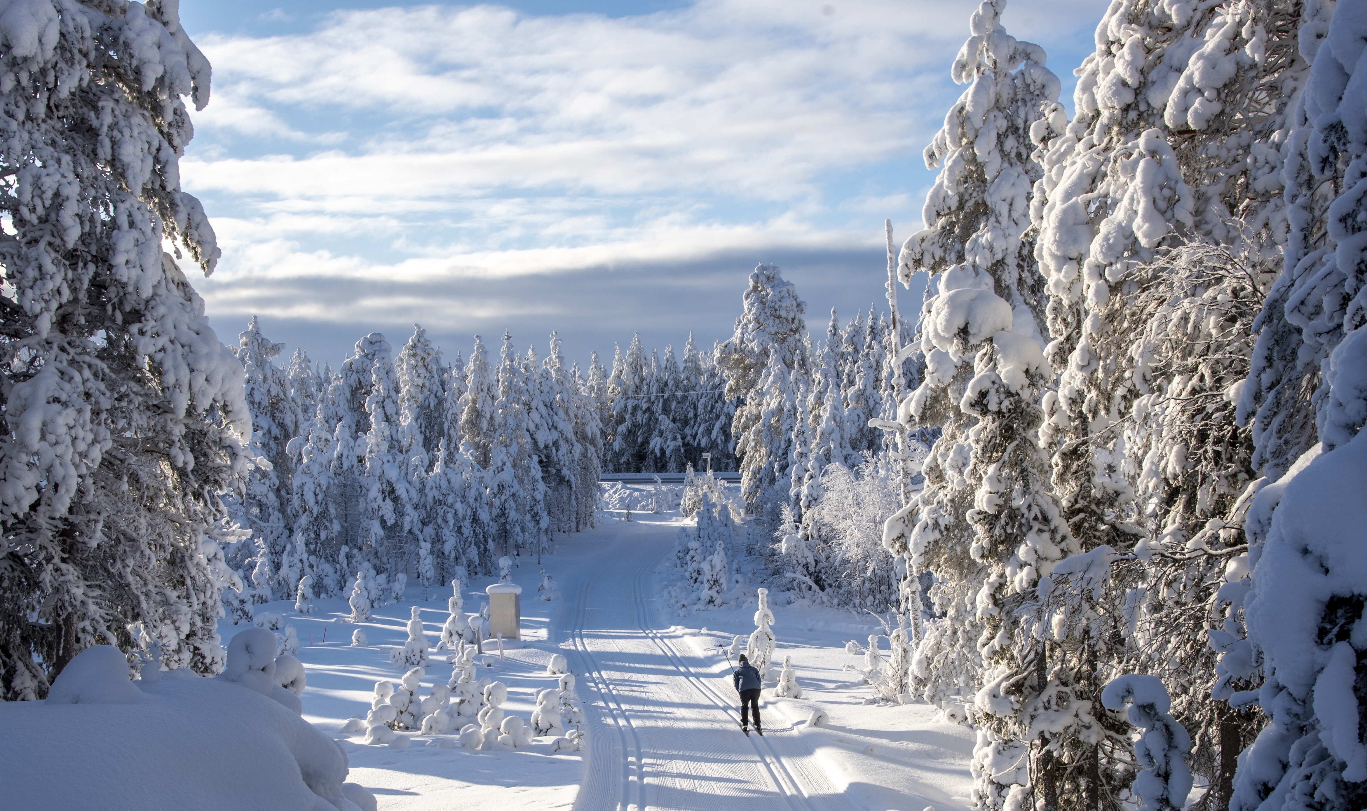 Brussels Airlines goes Nordic