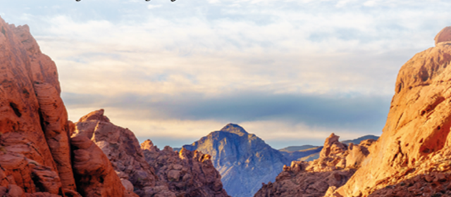 Onze allereerste Exciting Trips brochure is er