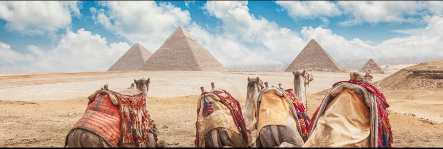 7PLUS TOUR OPERATOR OFFRES SPECIALES CARNAVAL