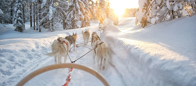 Finlande & Suède : vivez la magie avec YelloSun