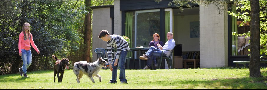 Nieuwe Baby & Honden Cottage