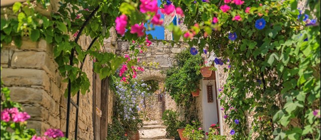 Cyprus komt naar Gent!