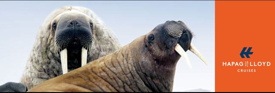 SPITSBERGEN Expeditiecruise