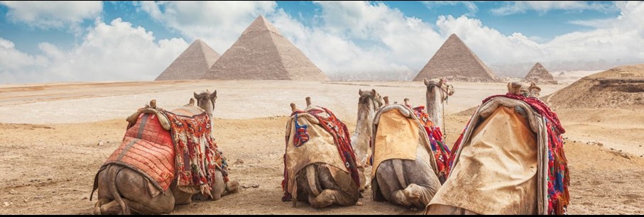 7PLUS TOUR OPERATOR SPECIALE AANBIEDINGEN KROKUS