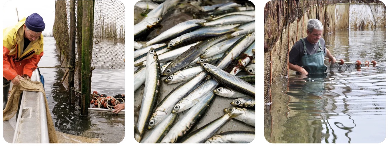 Culinair genieten in het westen van Noord-Brabant